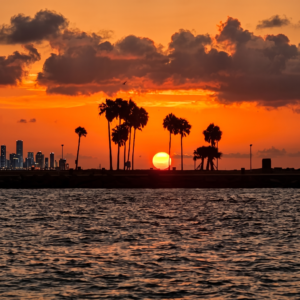 Galveston Boat Tours