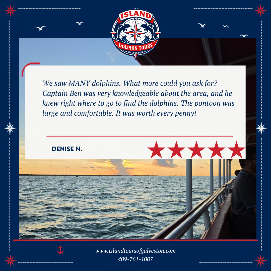 GALVESTON DOLPHIN TOUR Testimonial 9