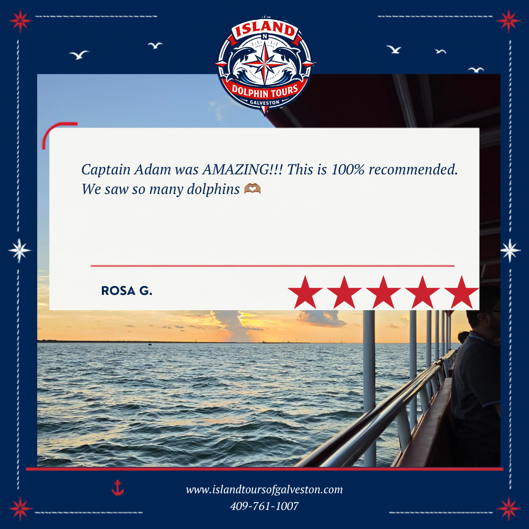 GALVESTON DOLPHIN TOUR Testimonial 7